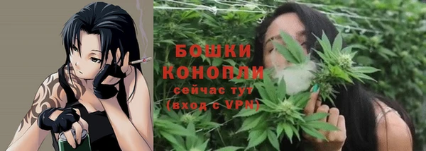 гидра Володарск