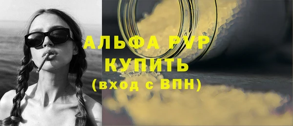 гидра Володарск