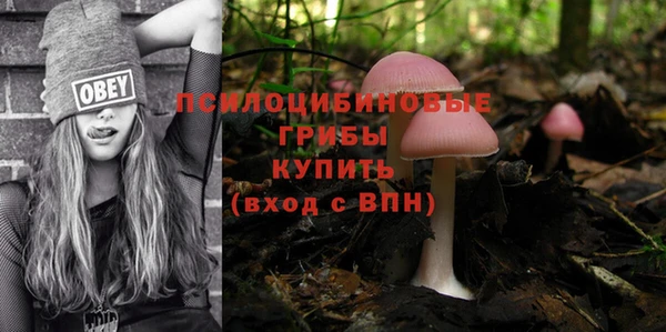 бошки Волоколамск