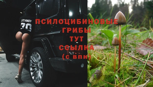 дурь Протвино