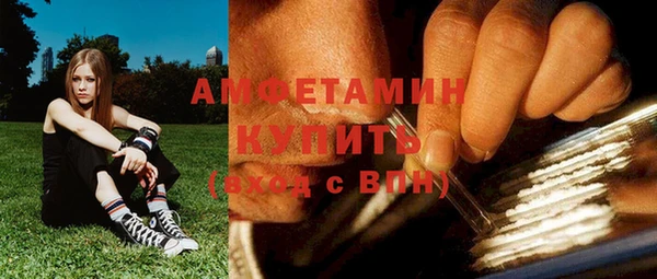гидра Володарск