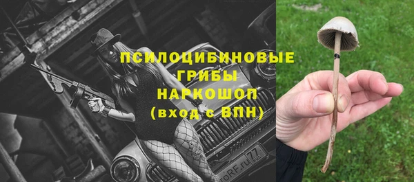бошки Волоколамск
