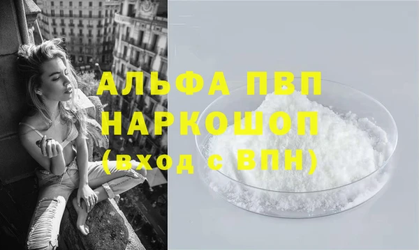 гидра Володарск