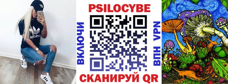 Псилоцибиновые грибы Psilocybine cubensis  Каргат 
